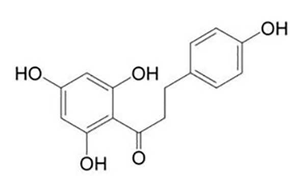 Phloretin
